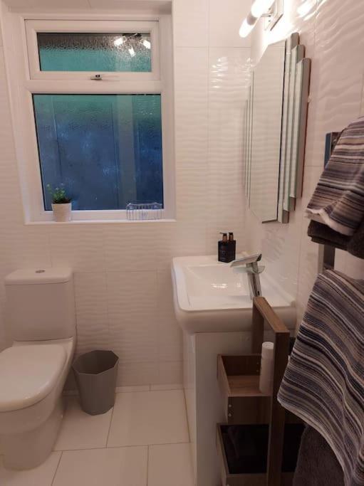 Riverside Retreat Llandysul Екстериор снимка