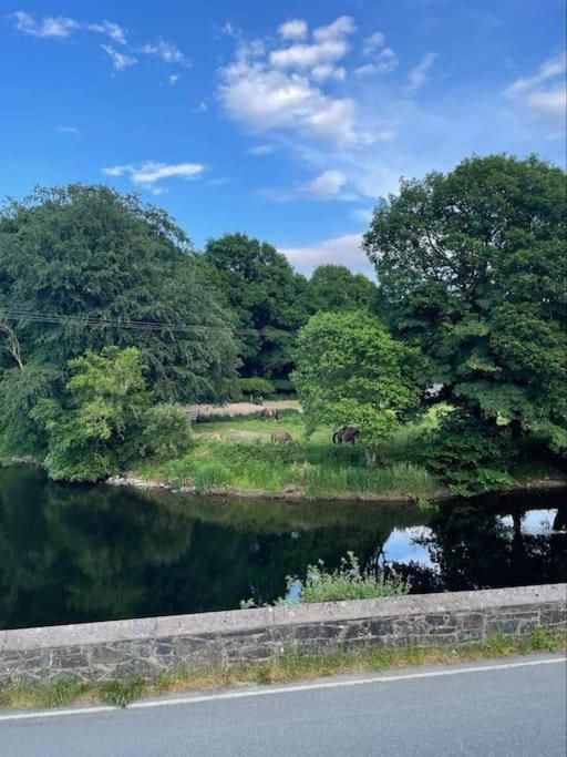 Riverside Retreat Llandysul Екстериор снимка