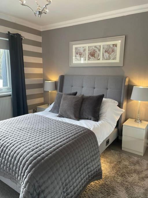 Riverside Retreat Llandysul Екстериор снимка