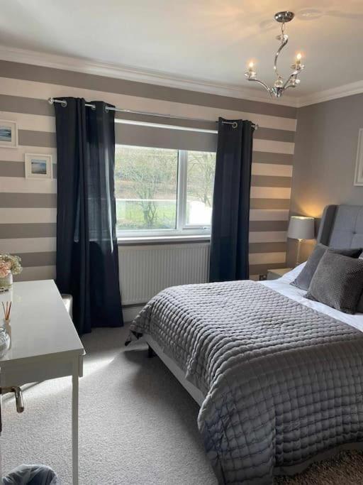 Riverside Retreat Llandysul Екстериор снимка