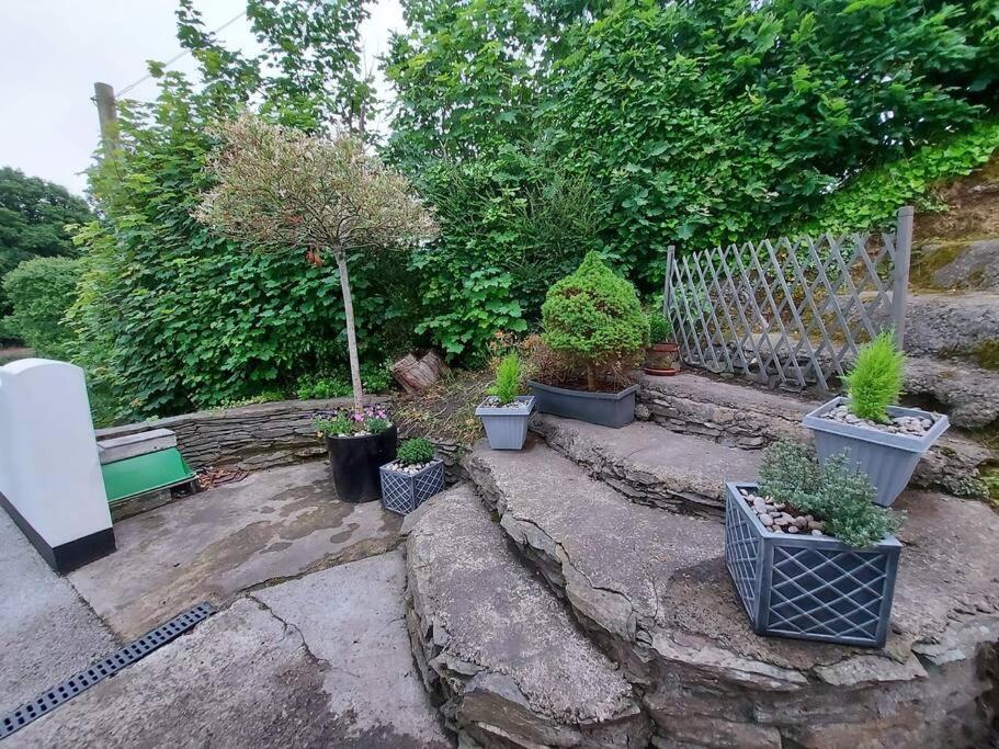 Riverside Retreat Llandysul Екстериор снимка