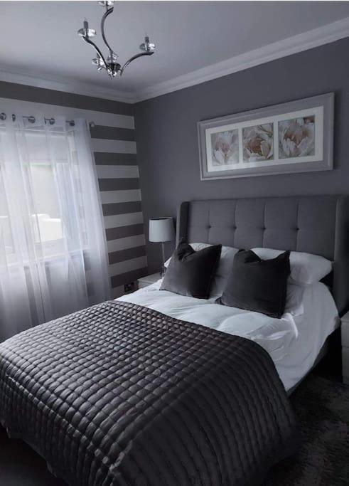 Riverside Retreat Llandysul Екстериор снимка