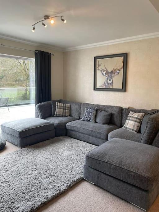 Riverside Retreat Llandysul Екстериор снимка